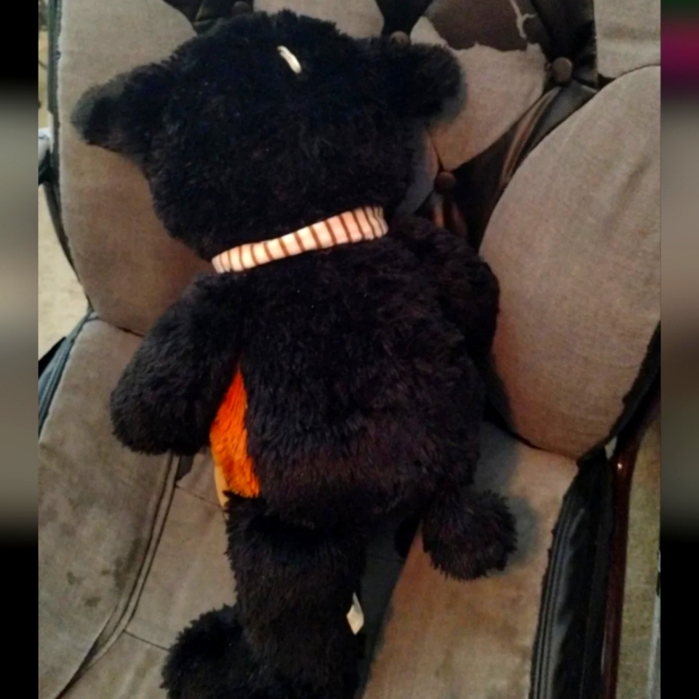 Bear